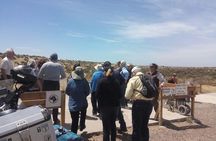 Cruise Shore Excursion Punta Tombo Tour - Puerto Madryn - Patagonia - Argentina
