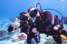 Hurghada: 6-Hour Dive Trip with Two Dive Sites