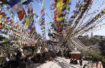 4 UNESCO City Sightseeing in Kathmandu
