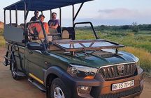 Kruger National Park Full Day Game Drive