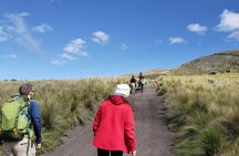 Baños & Amazon 4-day tour from Cuenca or Quito