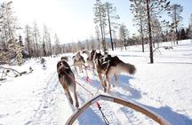 Lapland Husky Safari from Saariselkä