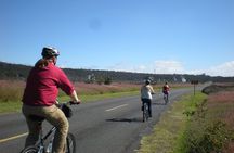 E-Bike Day Rental - GPS Audio Tour Hawaii Volcanoes National Park