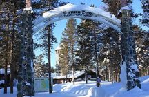 Private Guided Lapland Ranua Zoo tour from Rovaniemi