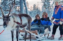 Lapland Reindeer Safari From Saariselkä