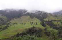 Salento Valle del Cocora and Filandia