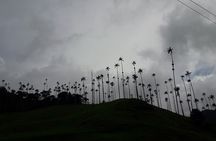 Salento Valle del Cocora and Filandia