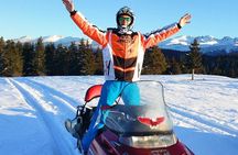 Lapland Snowmobile Safari from Rovaniemi
