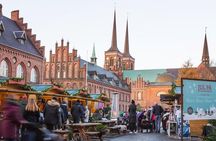 Private Tour to Vikings City Roskilde from Copenhagen