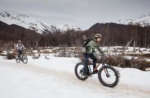 E-Bike in Ushuaia: Fuegian Beavers on Ice 