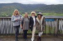 Martinborough Winery and Foodie Tour