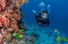Learn to Scuba Dive in Cabo San Lucas with PADI