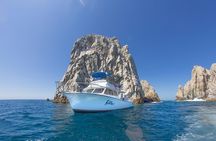 Learn to Scuba Dive in Cabo San Lucas with PADI