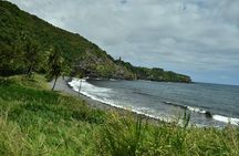 Maui Shore Excursion : Road to Hana Day Trip P/up Ka'anapali 
