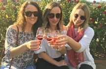 Swan Valley Wine Tour - Half Day Afternoon
