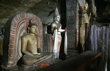 Sigiriya & Dambulla Day Tour