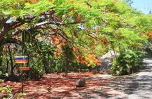 Zoological and Forestry Park Admission Ticket