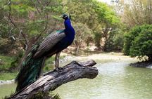 Zoological and Forestry Park Admission Ticket