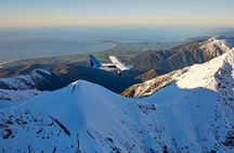 Whale Watching in Kaikoura - Ultimate Experience 