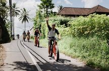 Electric Bike Tour in Ubud