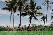 Electric Bike Tour in Ubud