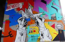 1,5 hour private guided Mural Street Art tour in Arnhem