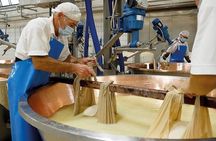 Private Day Tour & Lunch: Parmesan, Wine, and Vinegar Tasting