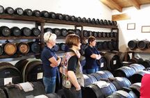 Private Day Tour & Lunch: Parmesan, Wine, and Vinegar Tasting