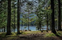 Black Lake and Djurdjevica Tara Bridge (Private tour)