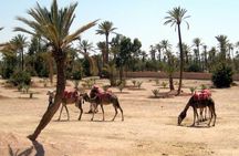 Palmeraie Quad Bikinig, and Camel Riding tour.