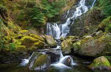 Private Tour: Ring of Kerry from Sneem and Parknasilla.