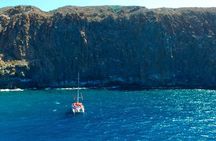 Whale watching and listening Eco-Catamaran Tour with Food Tasting