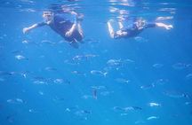 Seagull's Rocks Snorkeling in Pula