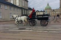 Copenhagen Walking Tour with Food Testing (smorrebrod dish & snap) 