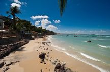Sun and Fun at Pipa Beach: Day Tour from Natal