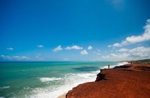 Sun and Fun at Pipa Beach: Day Tour from Natal