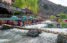 Day Trip To Ourika Valley from Marrakech