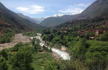 Day Trip To Ourika Valley from Marrakech