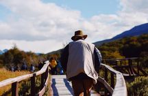 Ushuaia Shore Excursion: Private Tour of Tierra del Fuego National Park