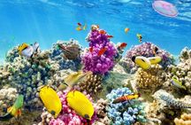 From Hurghada: Paradise Island Full-Day Snorkeling Tour
