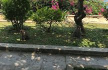 HALF DAY PRivate Tour Marble Mountain and Linh Ung Pagoda from DA NANG