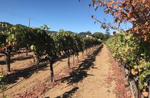 Wine Country Tour from San Francisco