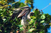 Los Haitises National Park - Hiking in Rain Forest + Private Boat to Caves 