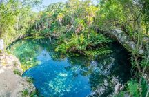 Private Tour Turtle Experience and Cenote Swim