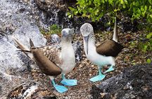 10-Day Galapagos Multi-Sport