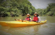Kayak Safari