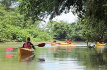 Kayak Safari
