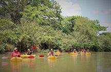 Kayak Safari