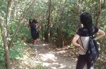 Half-Day Hike to Two Brothers Mountain