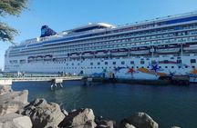  LA ANTIGUA Hop On Hop Off from Puerto Quetzal (Group)